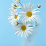 Flower1