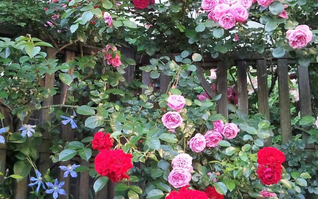 宿題は解けたのだろうか?