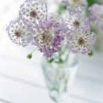 Flower13