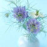 Flower11